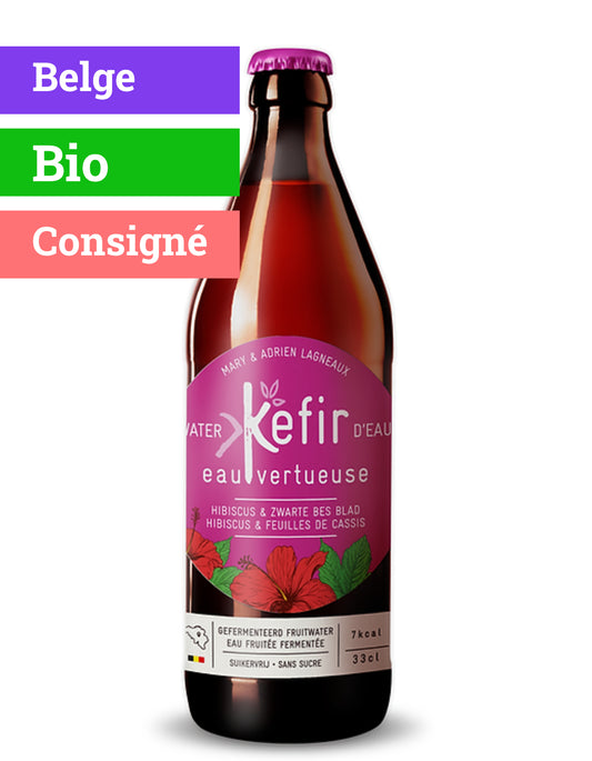 Kéfir Hibiscus & feuilles de cassis | Bio