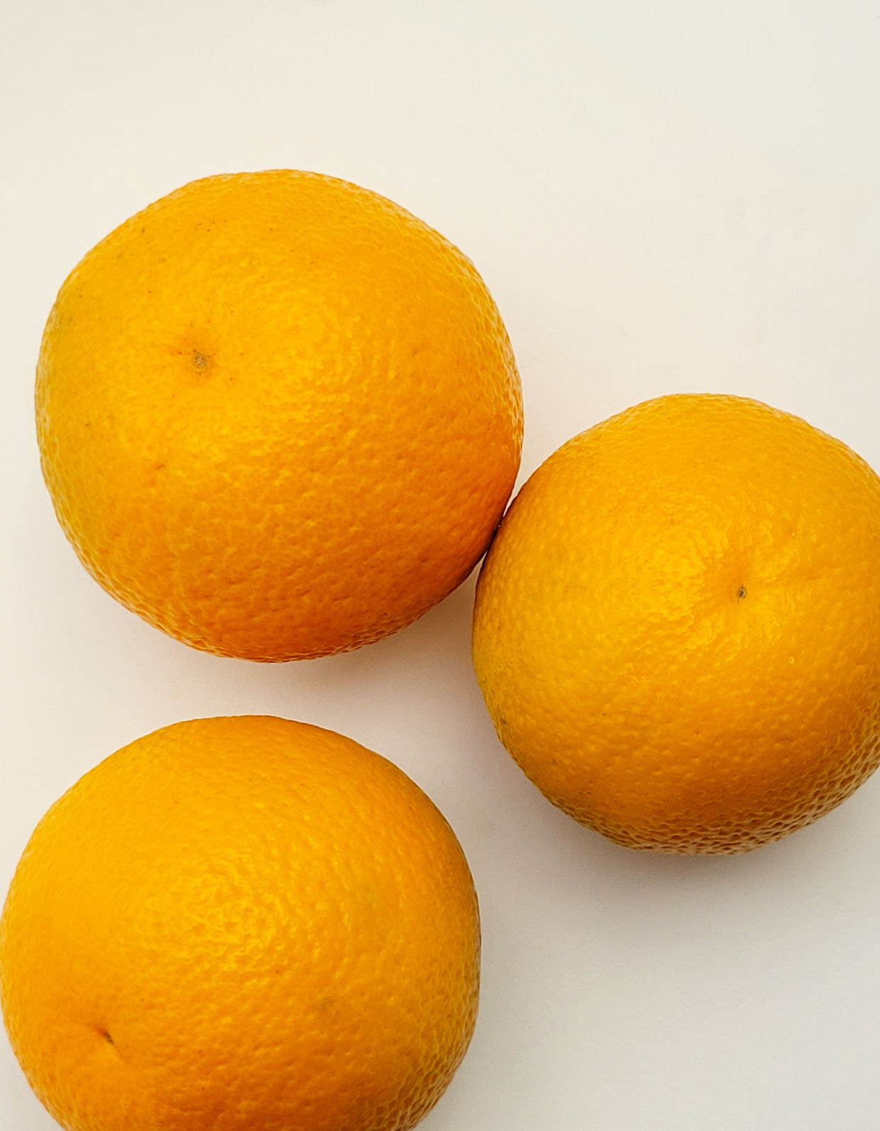 Orange Navel | Bio