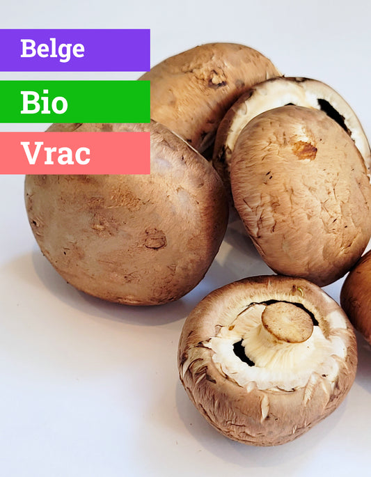 Champignon Chataigne | Bio