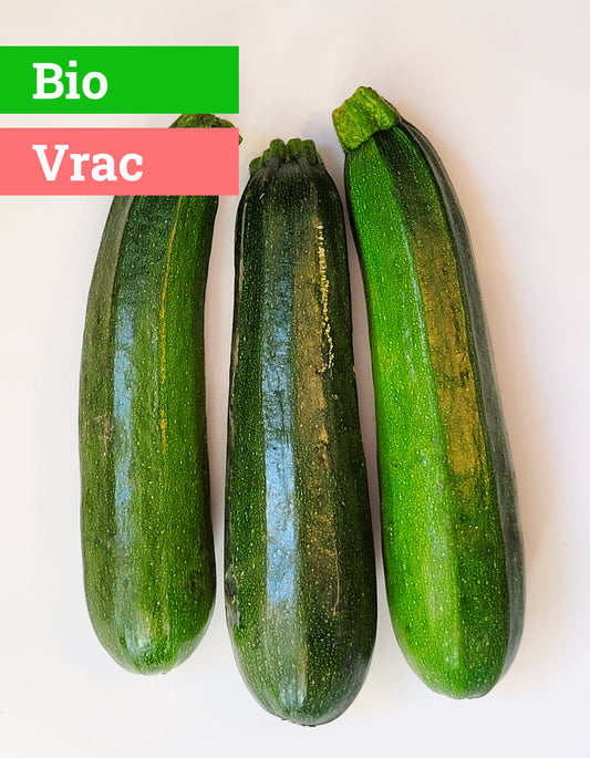 Courgette Verte | Bio