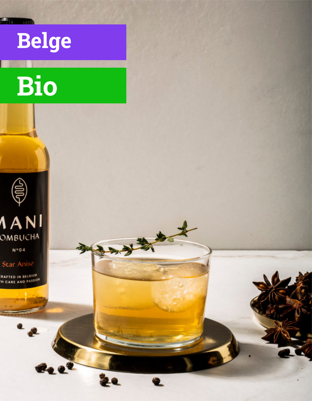 Kombucha N°4 Star Anise | Bio