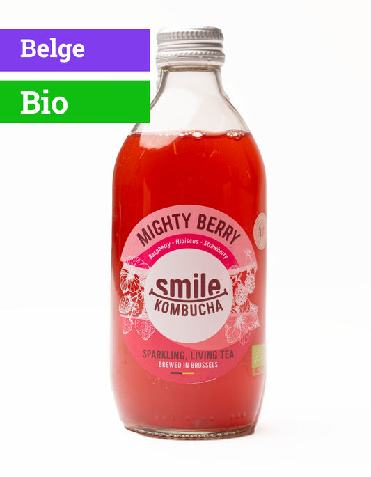 Kombucha Mighty Berry | Bio